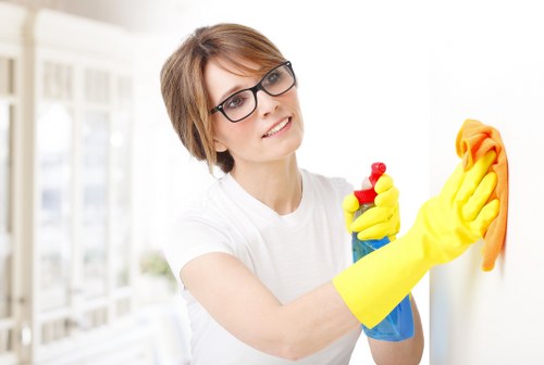 Deep carpet cleaning equipment removing dirt from fibres